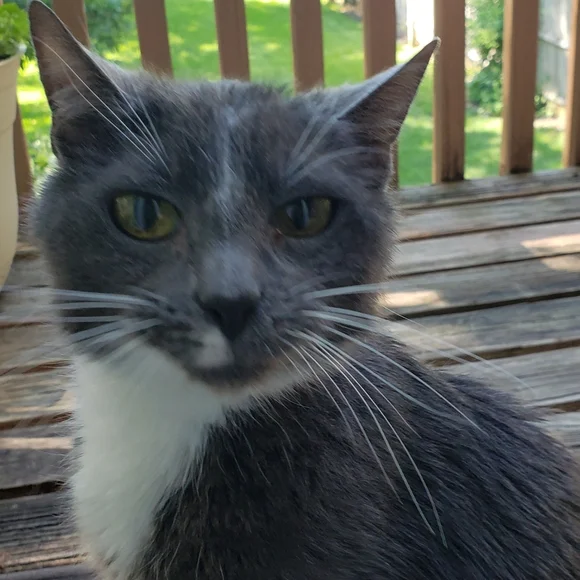 I Miss You So Much - Picture 12 of 15